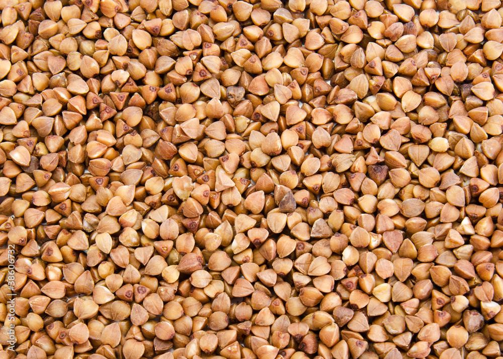 Buckwheat texture Buckwheat texture