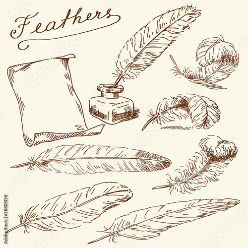 feathers, scroll, old times