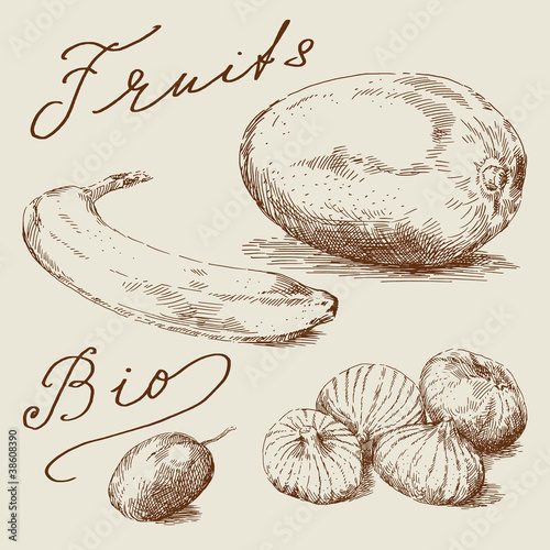 fruits