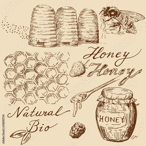 honey collection