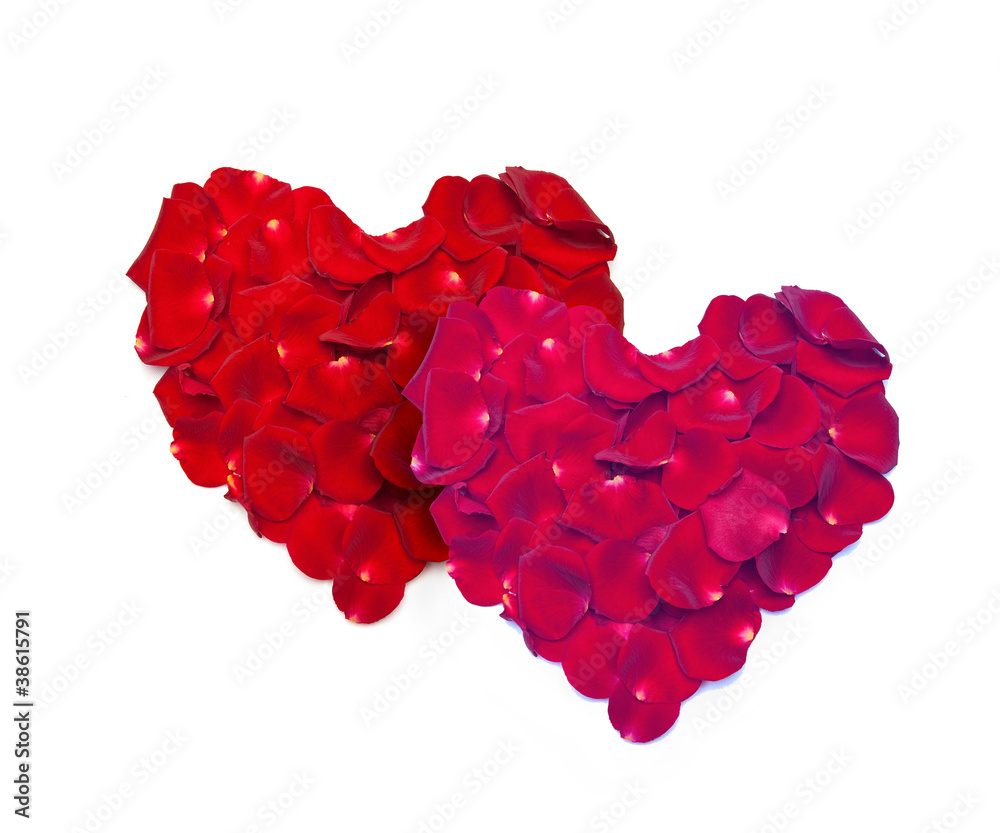 Heart shape made out of rose Heart shape made out of rose