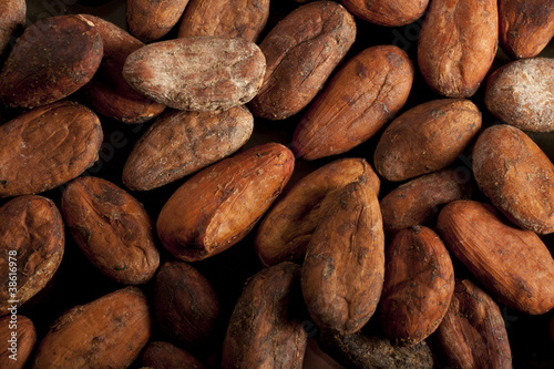 cocoa beans background