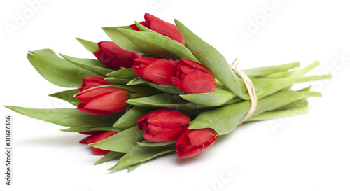 Fototapeta Naklejka Na Ścianę i Meble -  tied red tulips