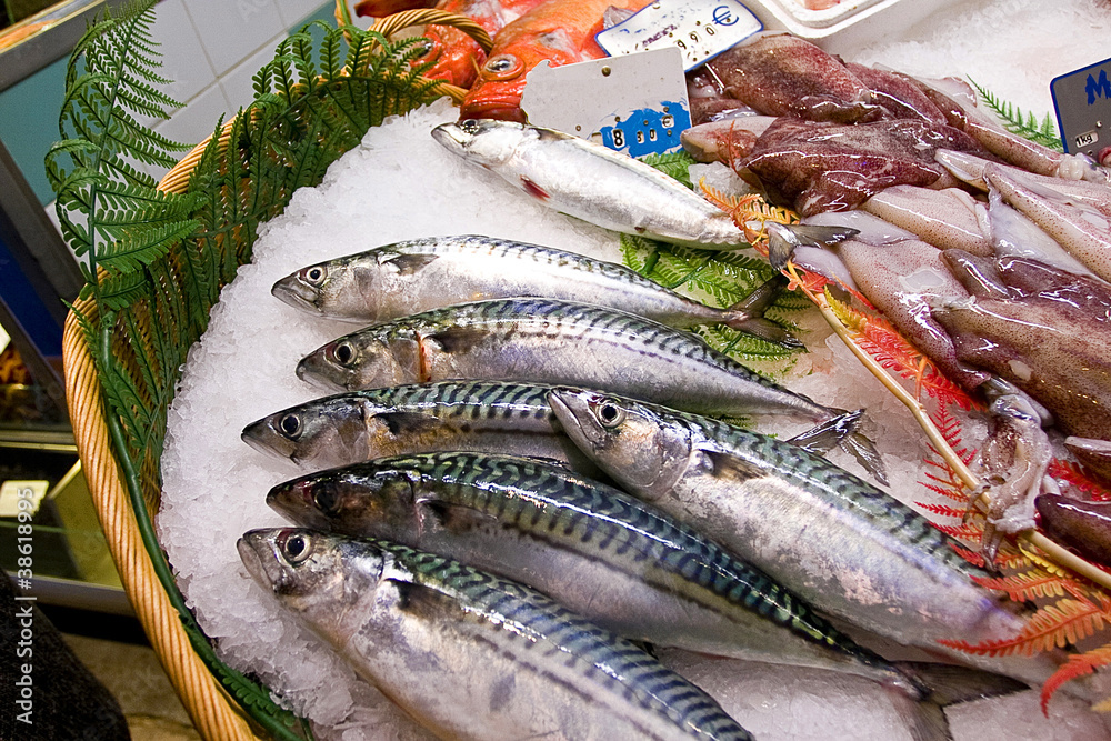 Fish market Fish market