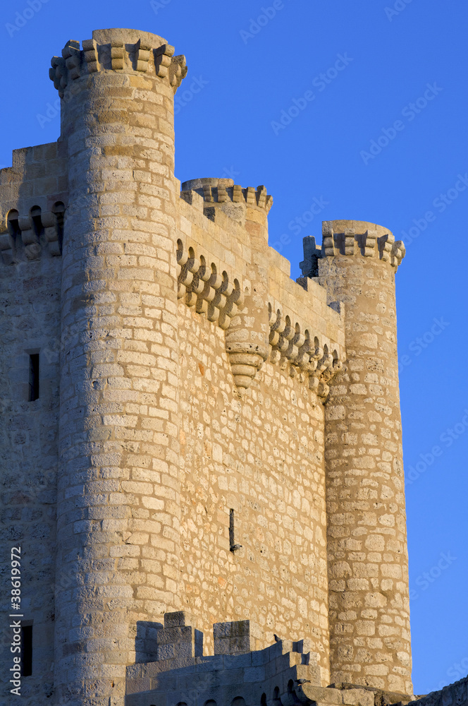 Torija Castle