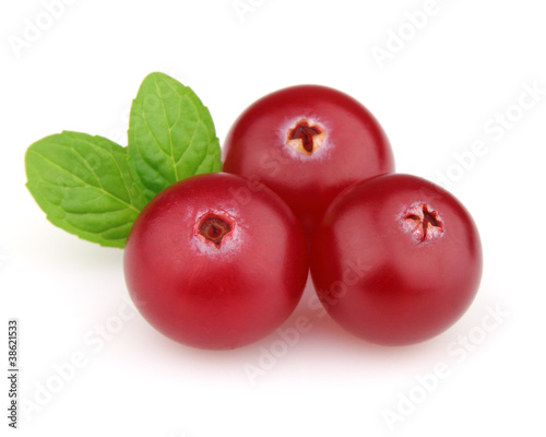 Cowberry with mint