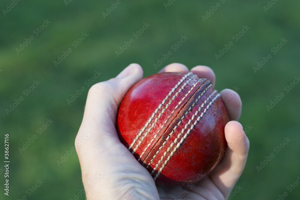 Hand Holding Cricket Ball Stock Photo Adobe Stock