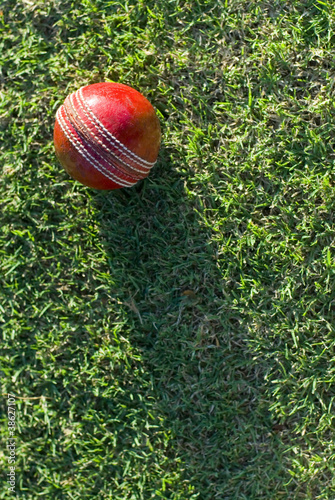 Cricket Ball On Grass