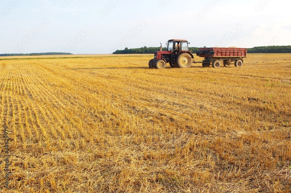 Obraz premium Tractor in field