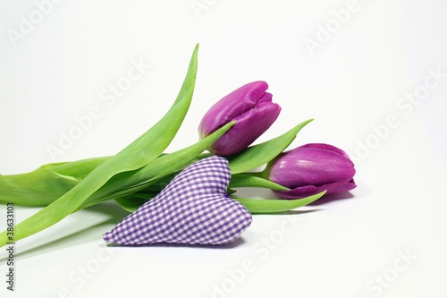 Fototapeta Naklejka Na Ścianę i Meble -  Tulpen mit Herz