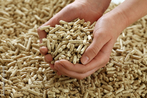Ein Haufen Pellets werden von einer Hand gehalten photo