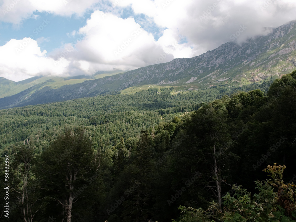Alpine beauty of the Caucasus