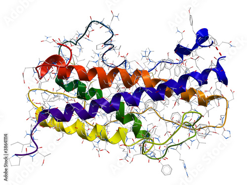 Human growth hormone somatotropin