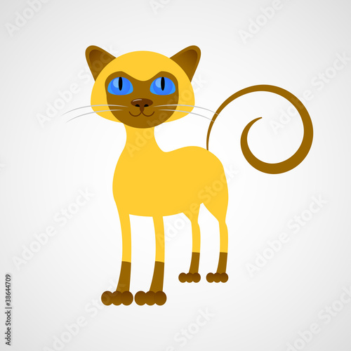 Kitty