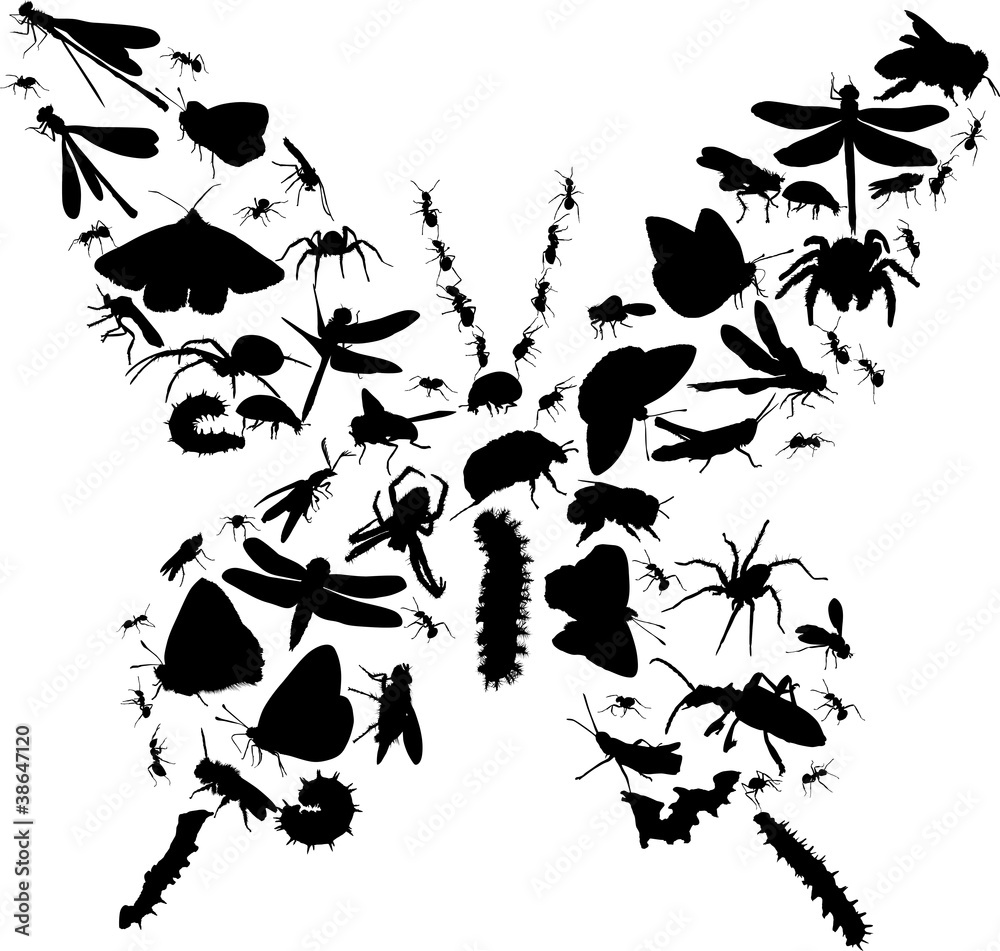 Naklejka premium butterfly from insect silhouettes