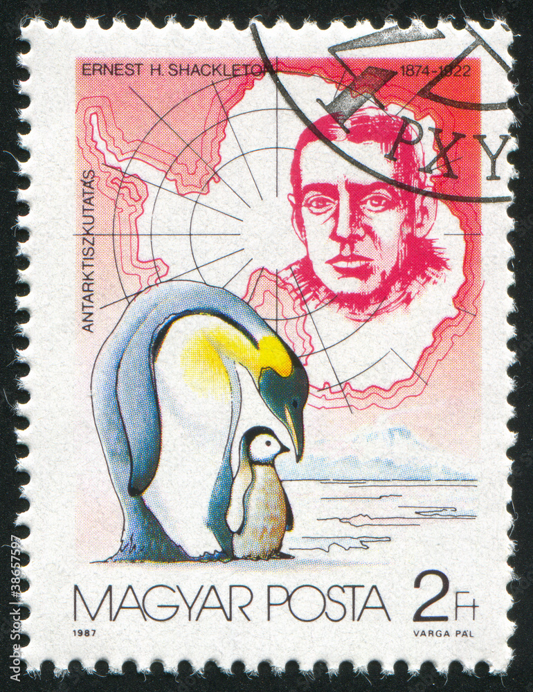 Fototapeta premium Ernest Shackleton and Penguins