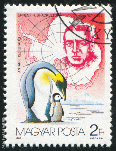 Ernest Shackleton and Penguins