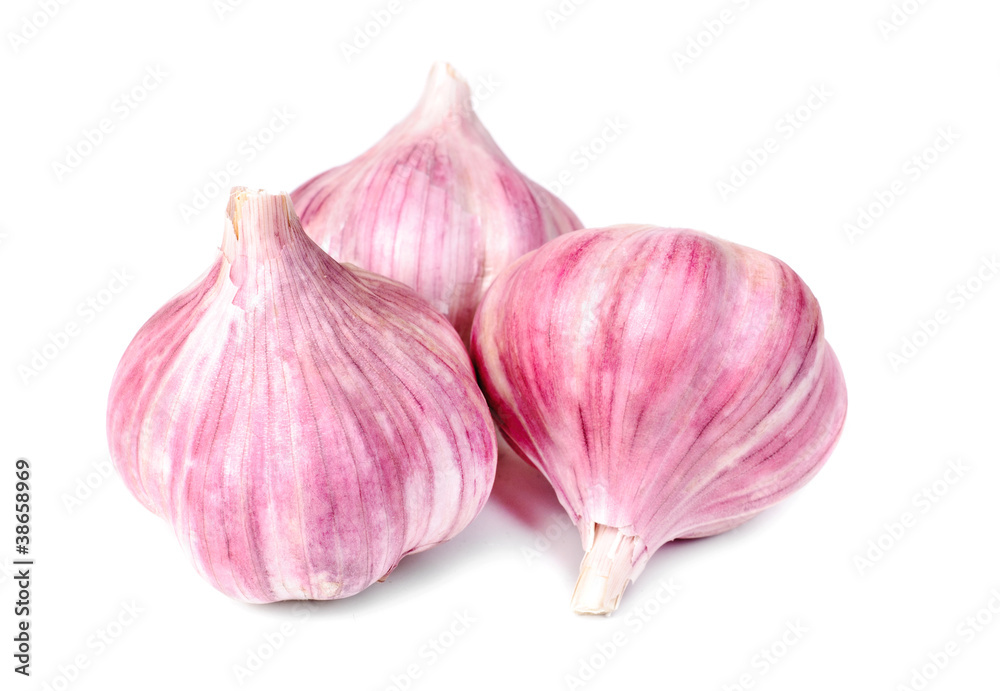 Obraz premium garlic isolation on white