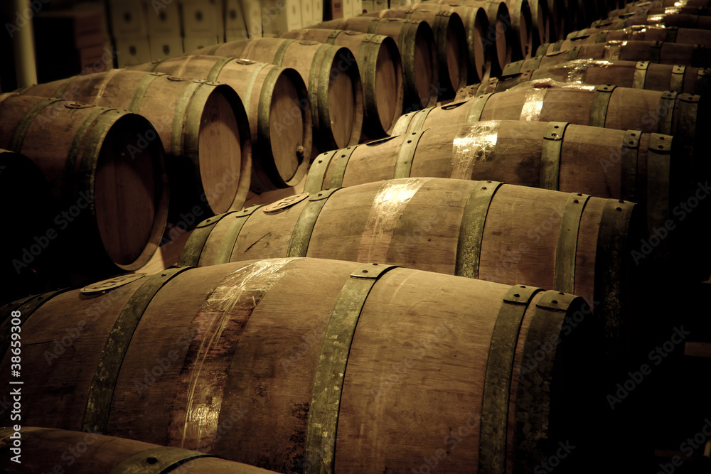 Wine barrels in cellar