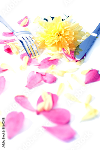 silver fork and knife isolated with dahlia and rose petals