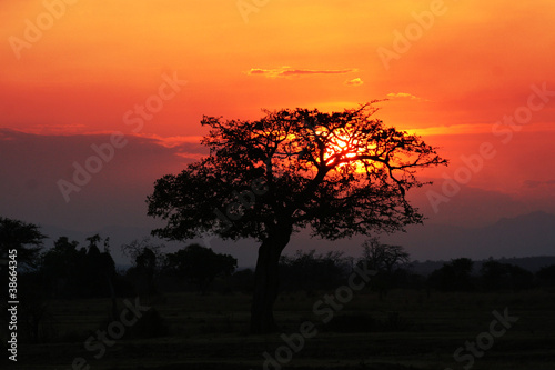 African sunset