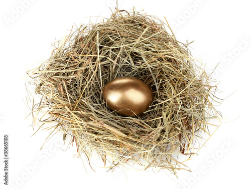 golden eggs in nest isolated on white