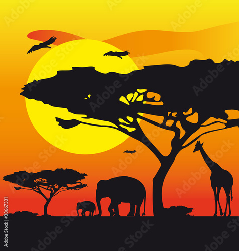 Obraz Africa