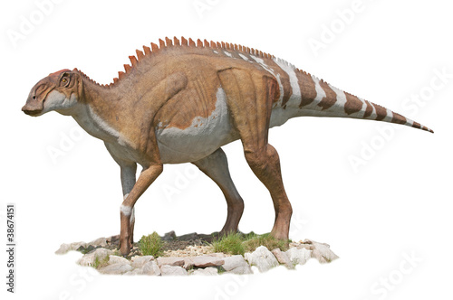 Dicraeosaurus Dinosaur - white background