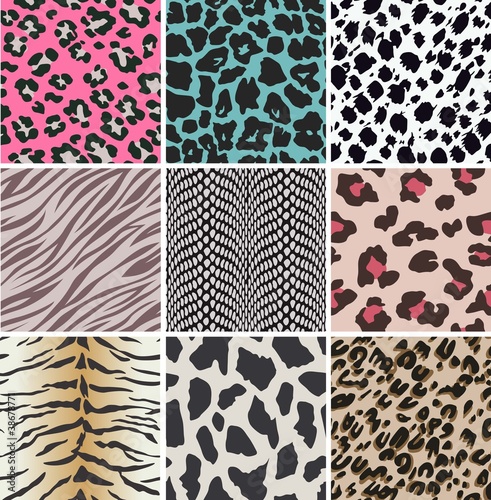 animal skin swatch pattern