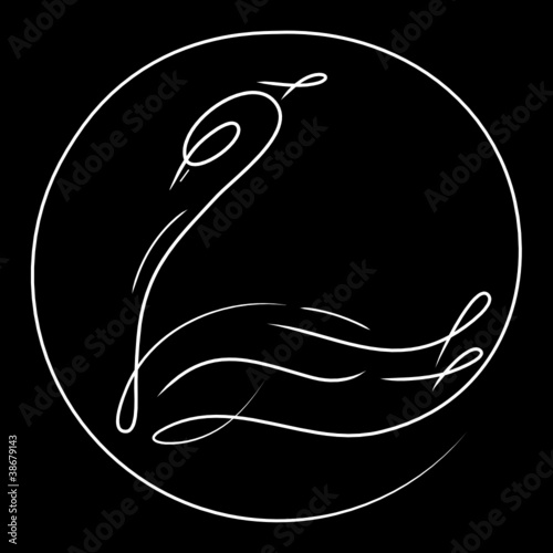 swan