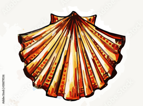 shell of saint james