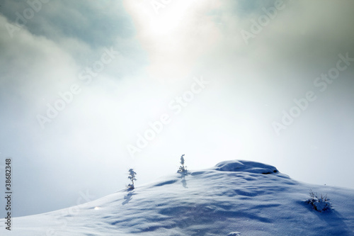 paesaggio invernale nella nebbia photo
