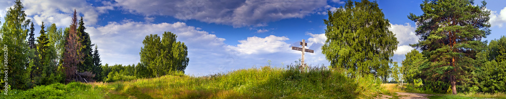 Summer panoramic landscape with mixed forest Summer panoramic landscape with mixed forest