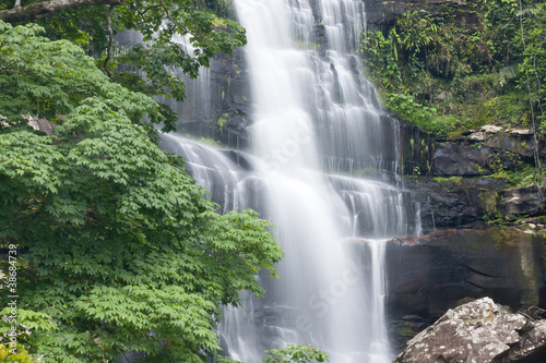 Beautiful rain forest and waterfall