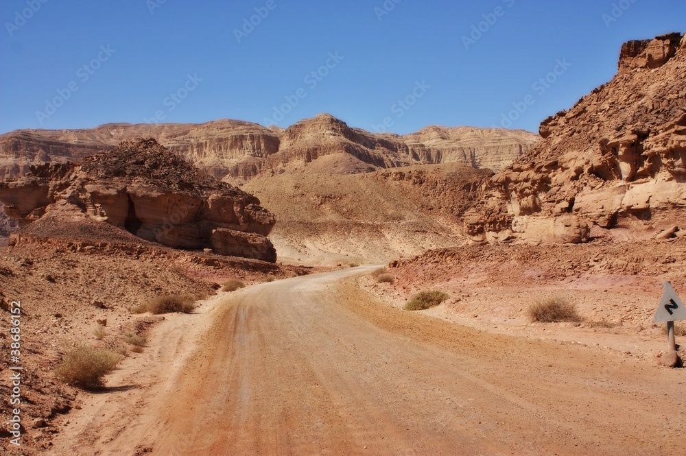 Fototapeta premium Desert Road