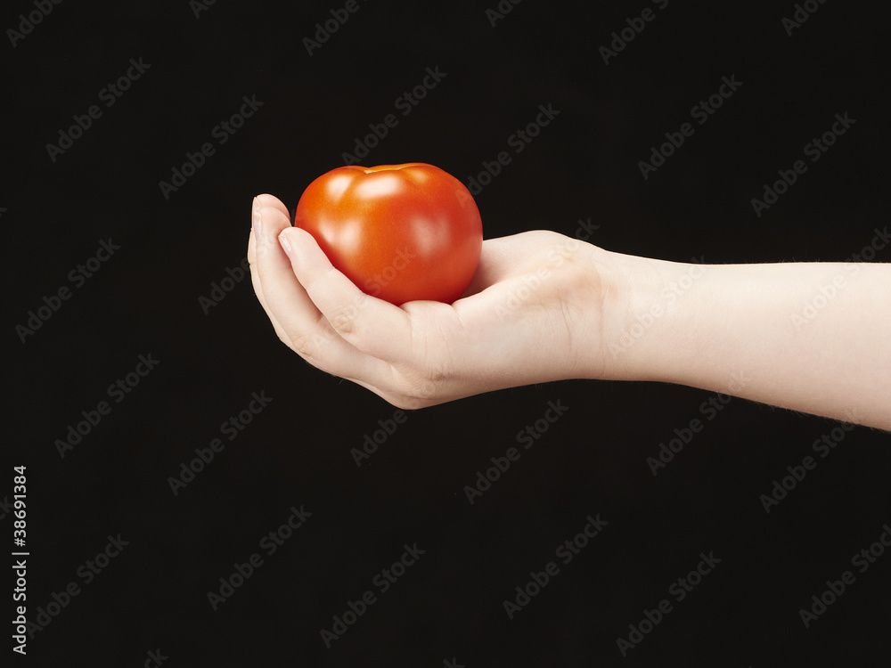 Childs hand with tomatoe and palm facing up Childs hand with tomatoe and palm facing up