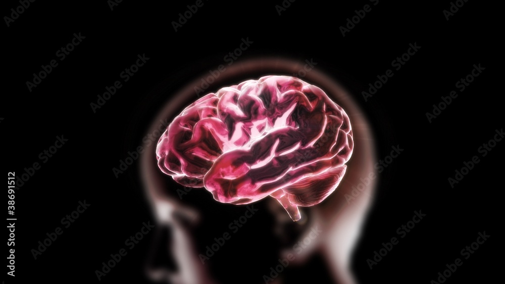 red crystal brain and head red crystal brain and head