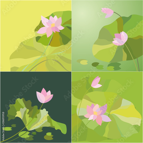 荷花图案