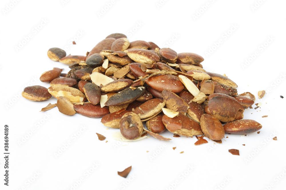 Roasted Kayu Seeds Roasted Kayu Seeds