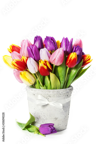 Wallpaper Mural fresh tulips Torontodigital.ca