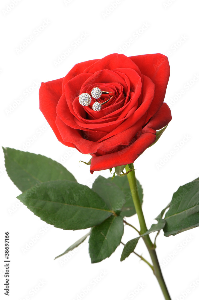 Naklejka premium Red rose with a ring with jewels