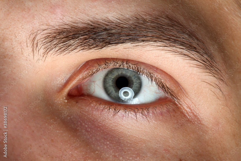 Fototapeta premium Nahaufnahme eines maennlichen Auges