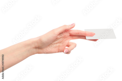 Female hand holding a blank business card