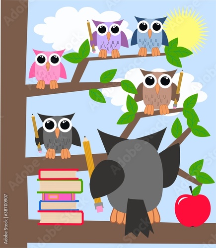 school learning owls
