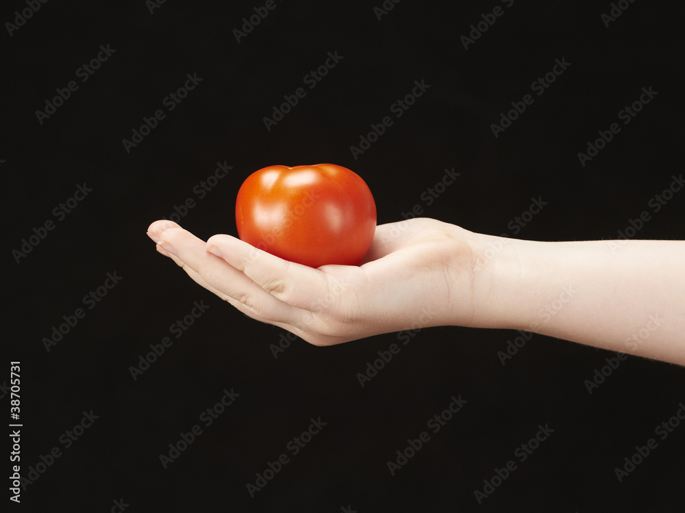 Childs hand with tomatoe and palm facing up Childs hand with tomatoe and palm facing up