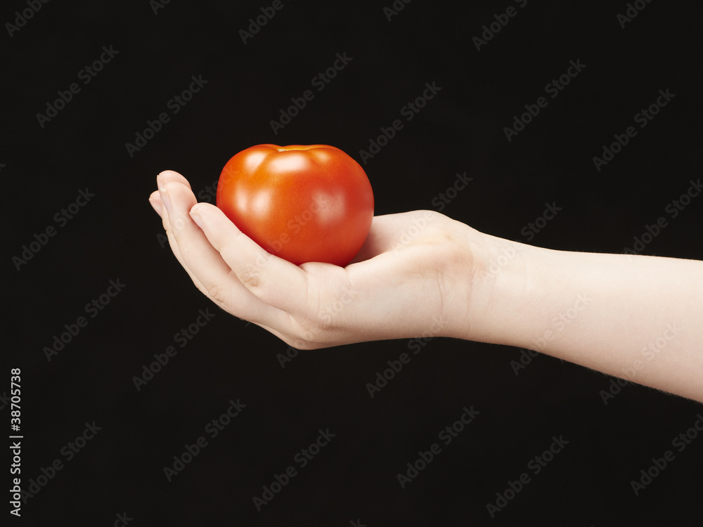 Childs hand with tomatoe and palm facing up Childs hand with tomatoe and palm facing up