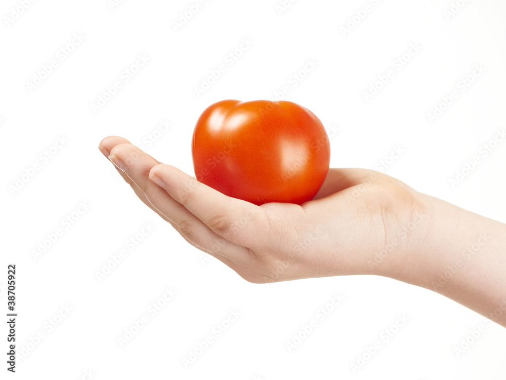 Childs hand with tomatoe and palm facing up Childs hand with tomatoe and palm facing up