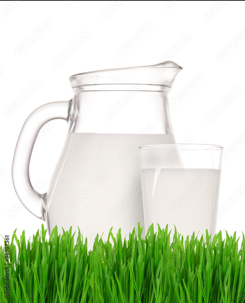 Glass of milk with jug and green grass Glass of milk with jug and green grass