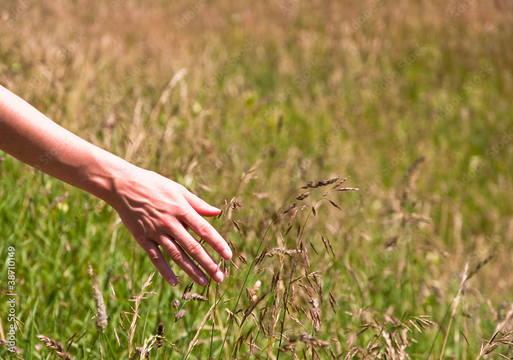 Obraz premium Freiheit