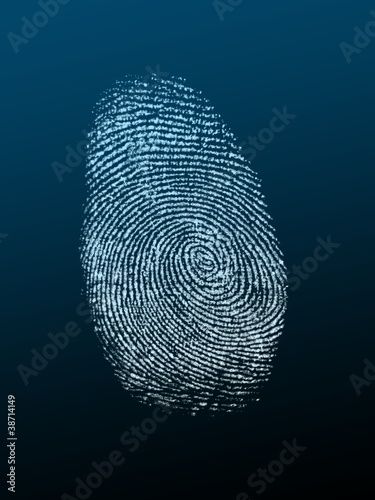 Finger Print